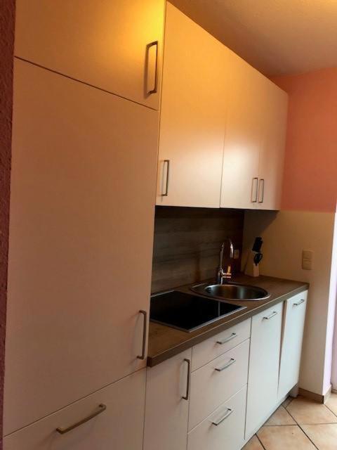 Jacobihof Haus 6 Wohnung 02 达默 外观 照片